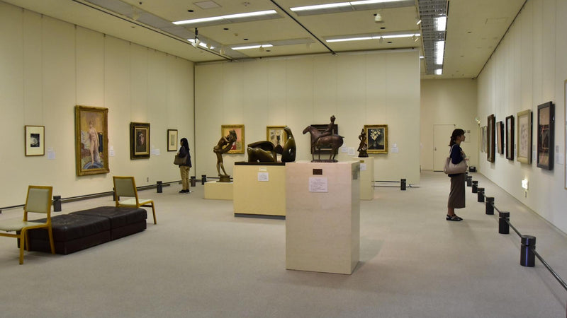 Kagoshima Stad Museum voor Kunst