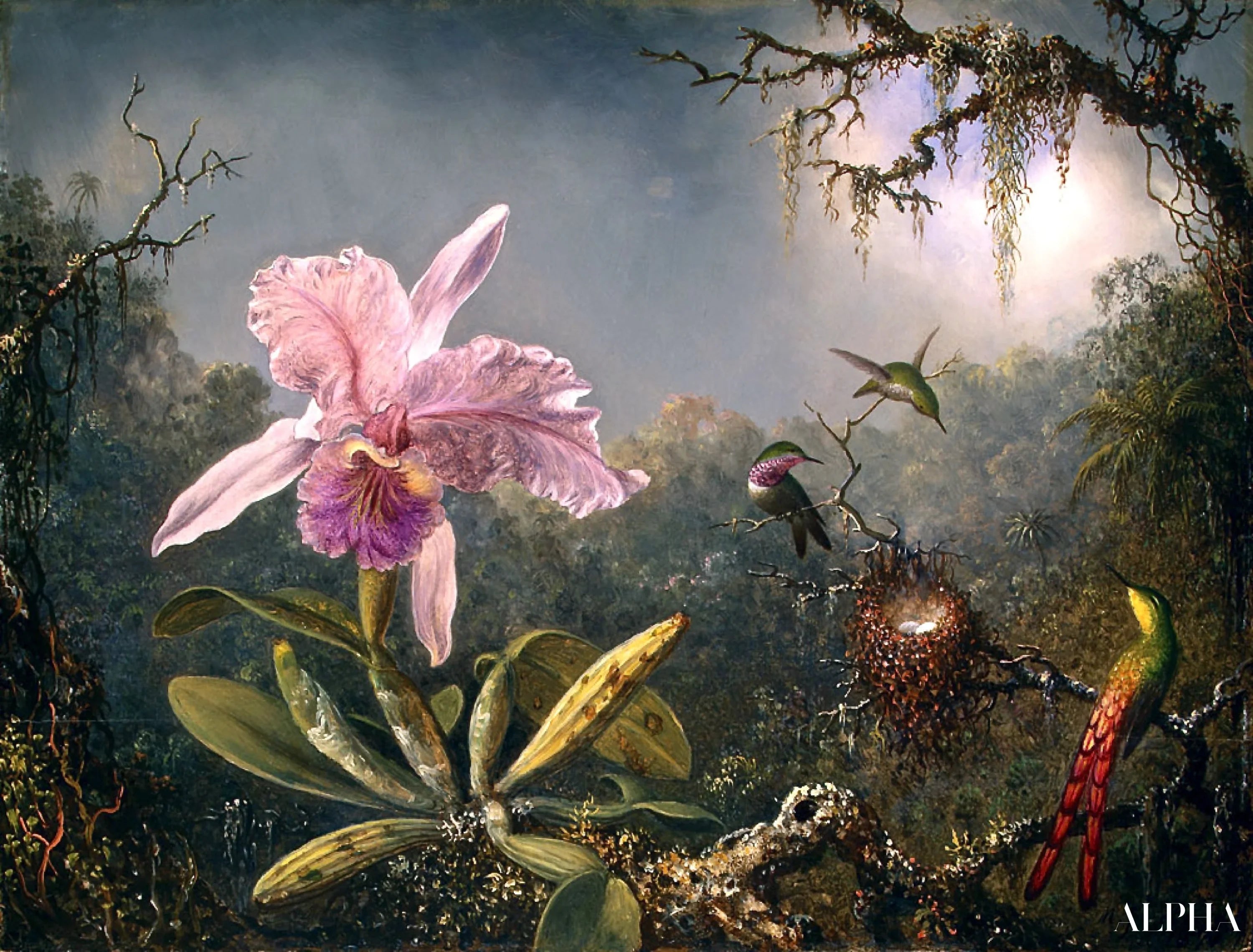 20 Beroemde Schilderijen van Martin Johnson Heade