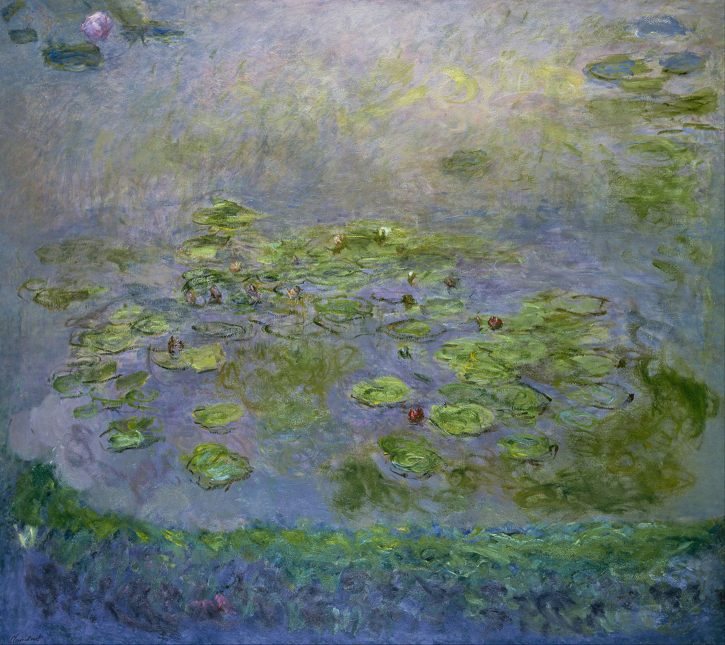 🌿 Waterlelies aan de oever van de vijver