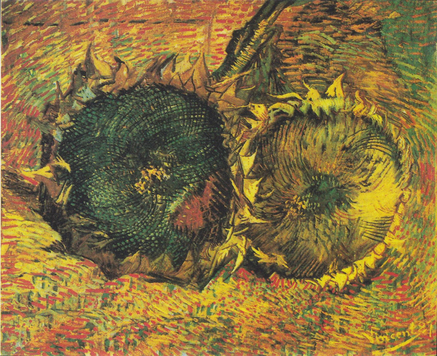 🌻 Twee Gesneden Zonnebloemen – Vincent van Gogh (1887)