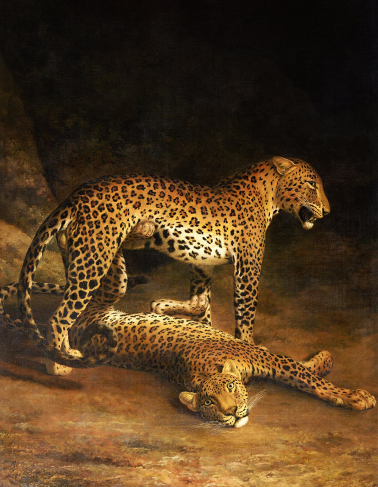 Deux léopards couchés dans l’Exeter Change, Jacques-Laurent Agasse, 1808, Huile sur toile