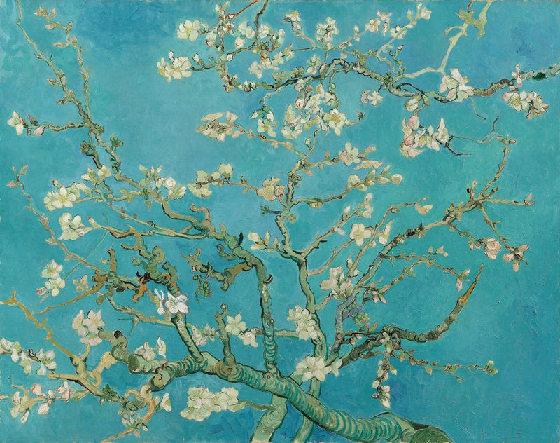 Amandelbloesem - Vincent van Gogh