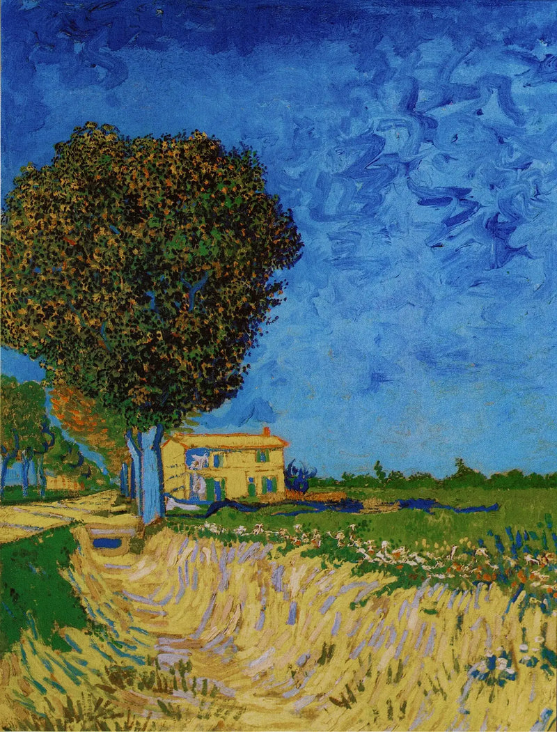 Laantje in Arles met huizen - Vincent van Gogh