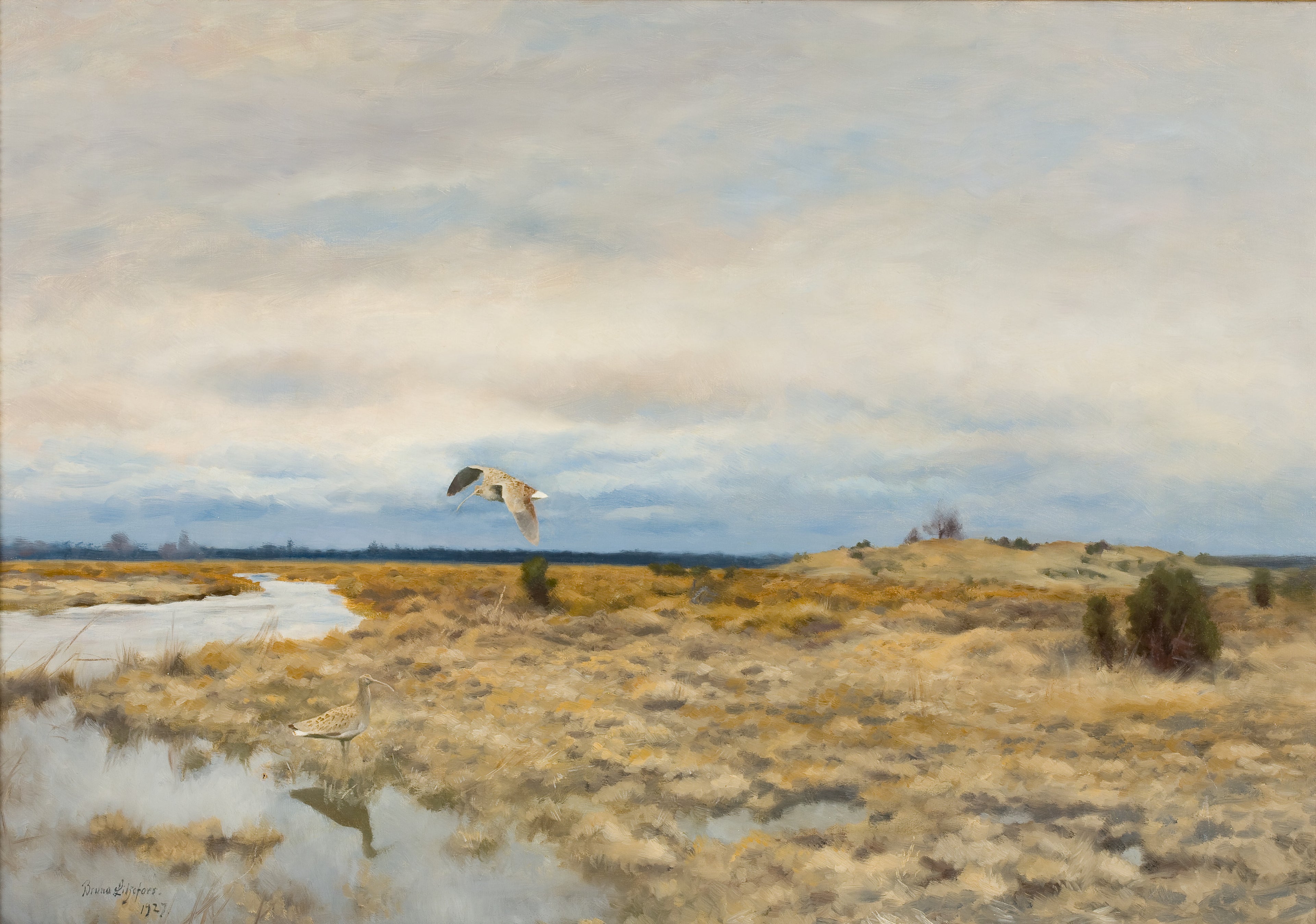 Deux courlis dans un paysage de tourbe - Bruno Liljefors