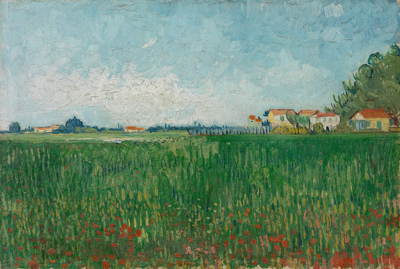 Veld met klaprozen - Vincent van Gogh