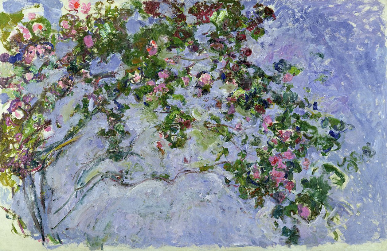 🌺 De rozen Claude Monet (1925–1926)