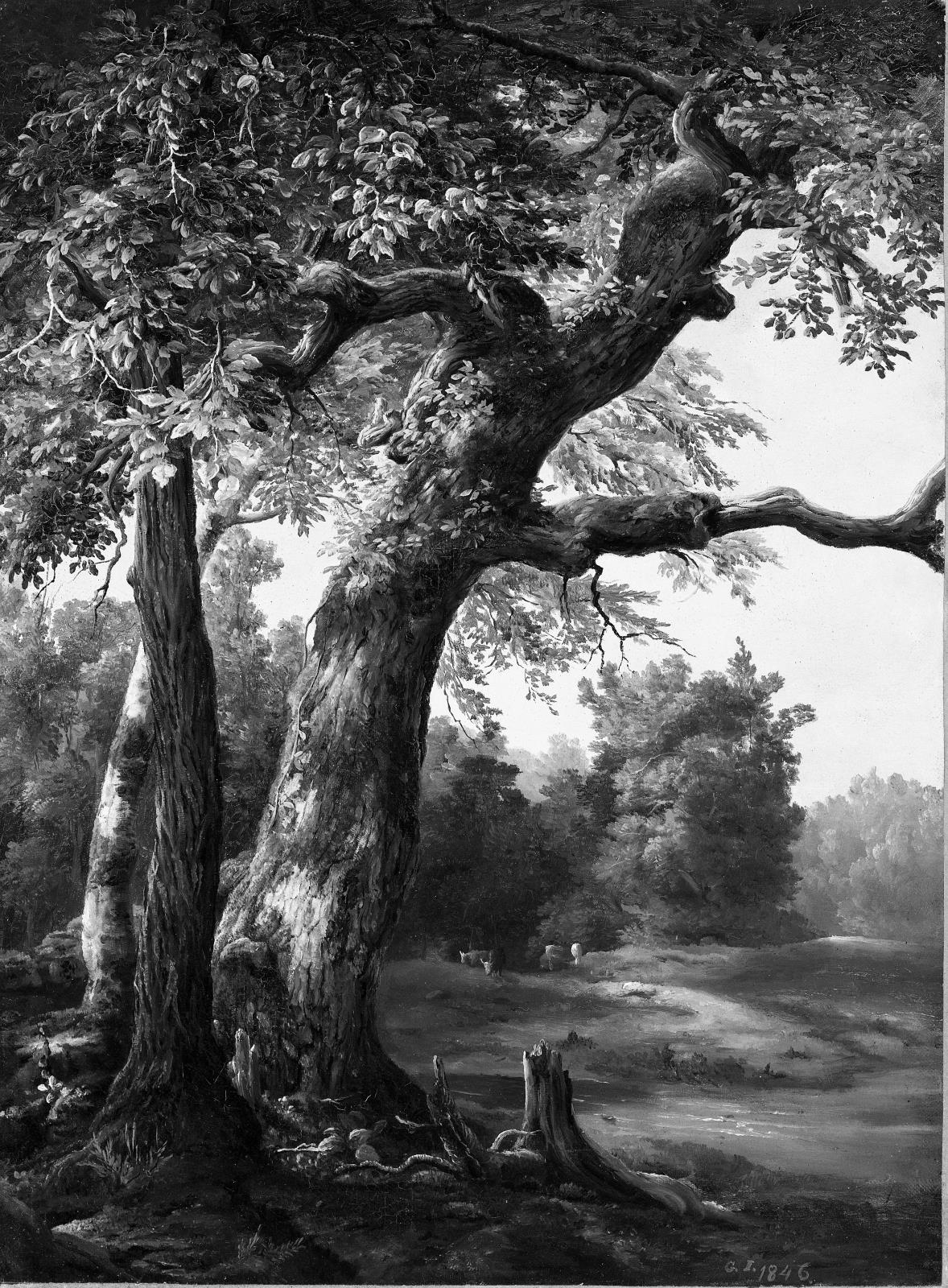 Vue sur la forêt - George Inness