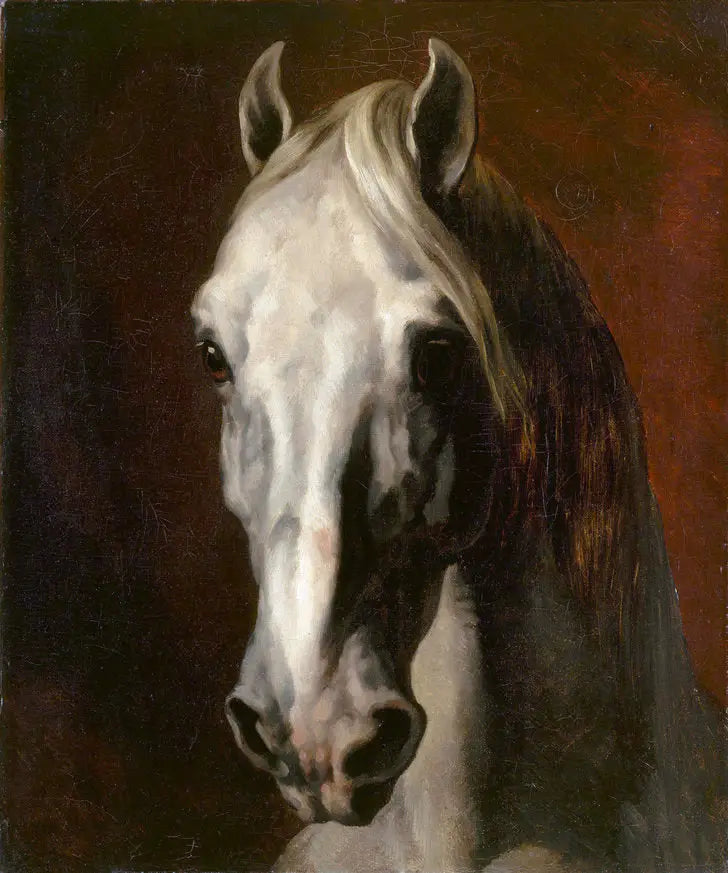 Wit paardenhoofd - Théodore Géricault