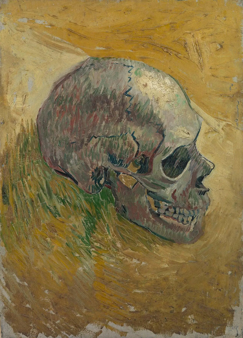 Schedel van een skelet - Vincent van Gogh