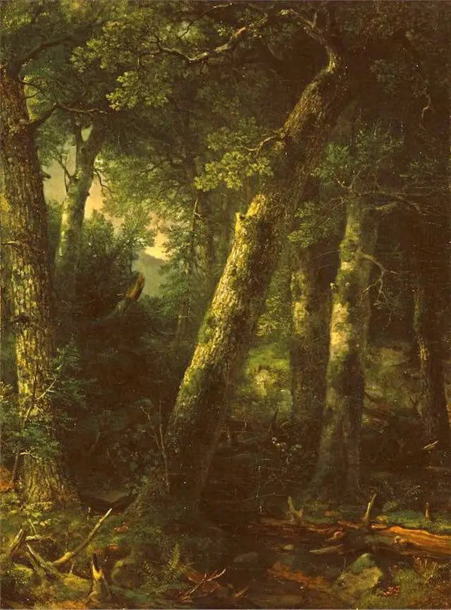 Forêt dans la lumière du matin - Asher Brown Durand - Alpha Reproduction