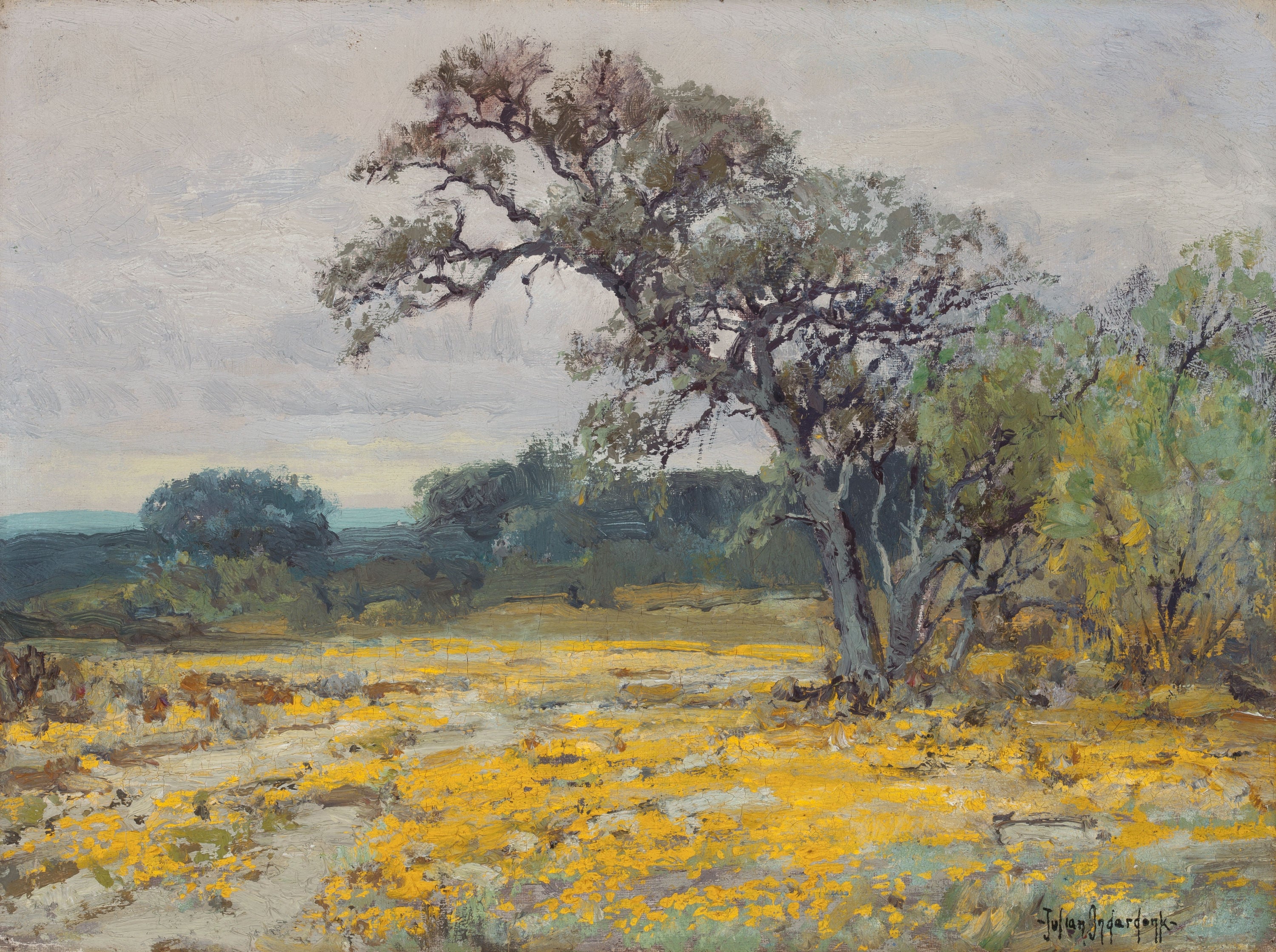 Coréopsis près de San Antonio Texas - Julian Onderdonk - Alpha Reproduction