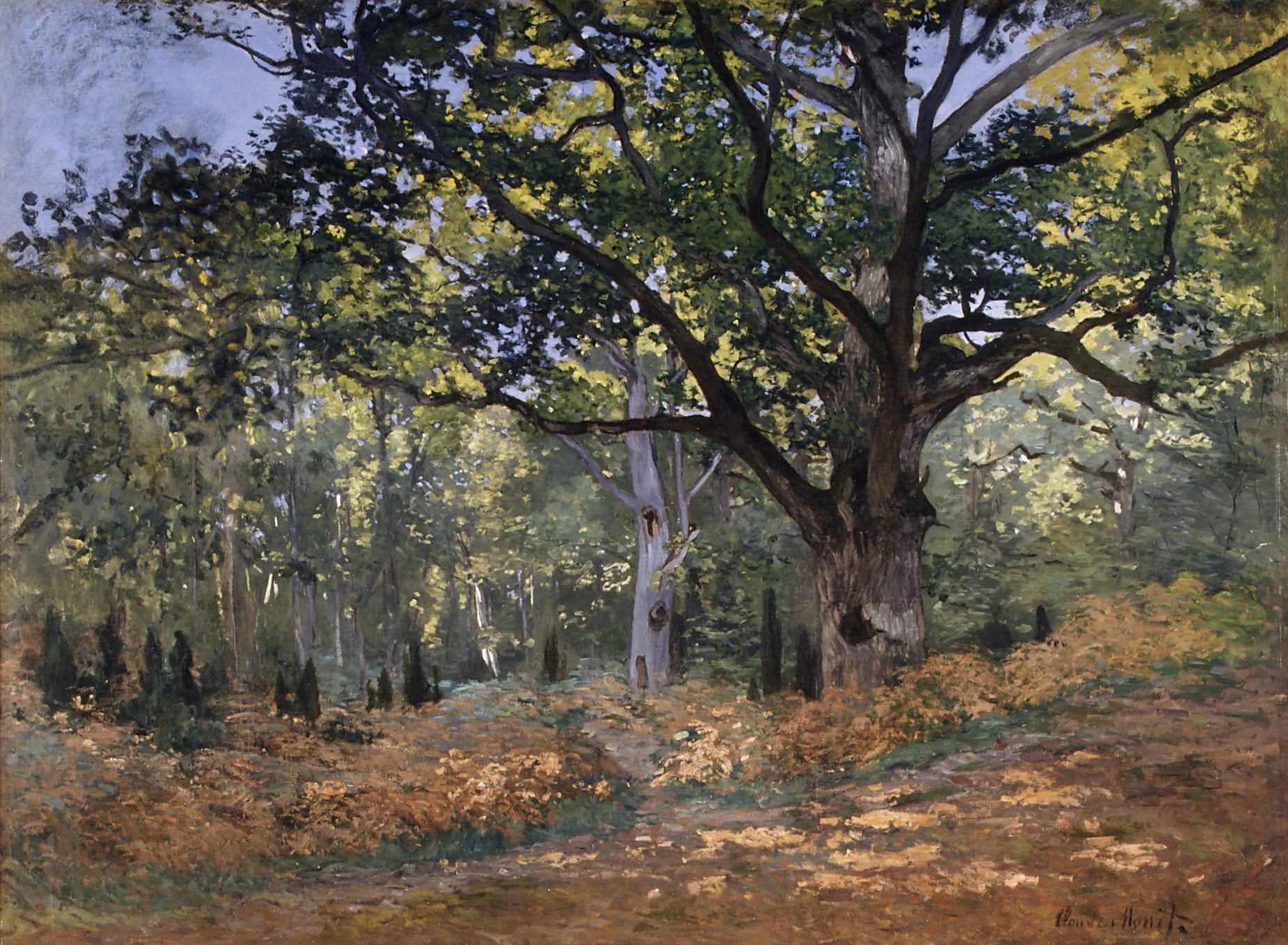 De Bodmer-eik, de weg van Chailly - Claude Monet
