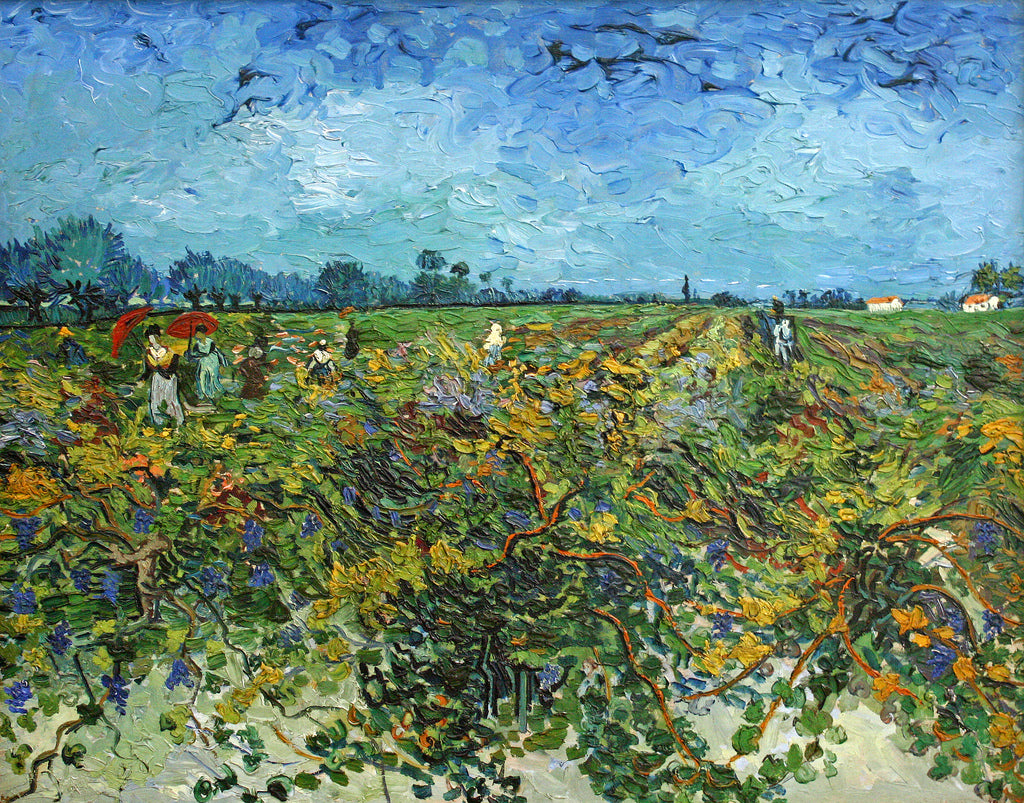 🍇 De Groene Wijngaard – Vincent van Gogh (1888)