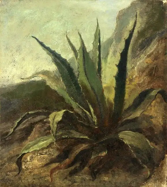Reproduction du tableau « Agave au Maroc - Eugène Delacroix » par Alpha Reproduction en peinture à l’huile