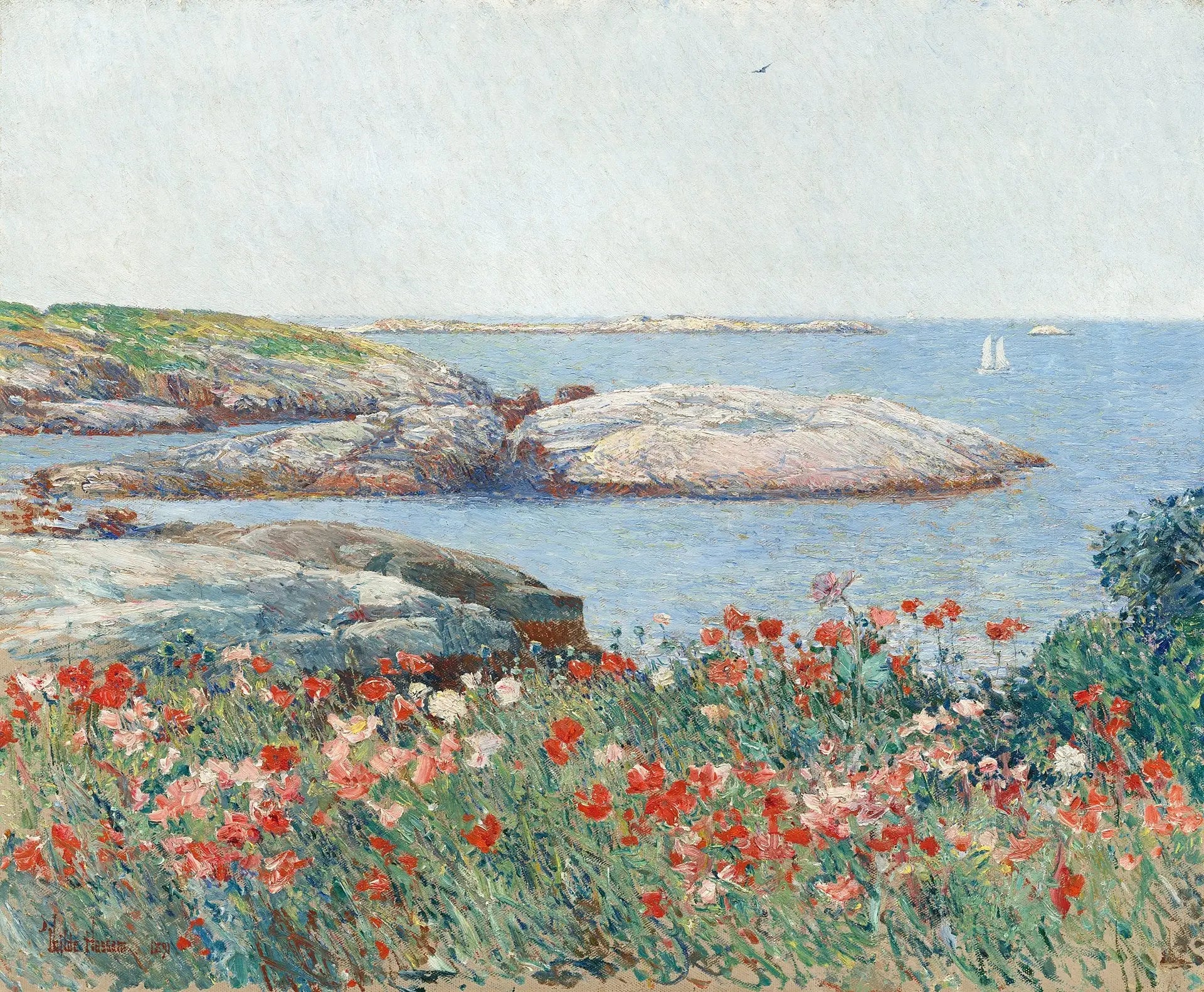 Coquelicots Îles Shoals - Childe Hassam - Alpha Reproduction