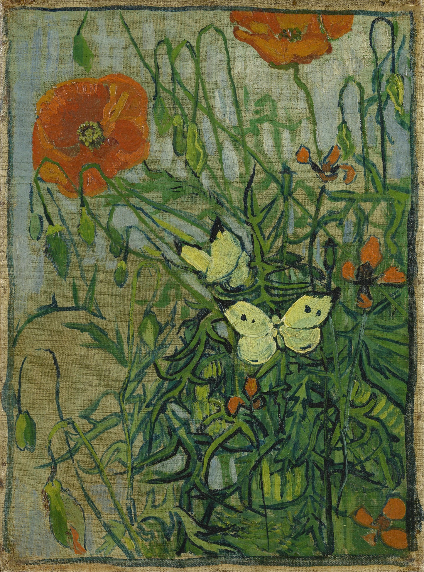 🦋 Vlinders en Klaprozen – Vincent van Gogh (1890)