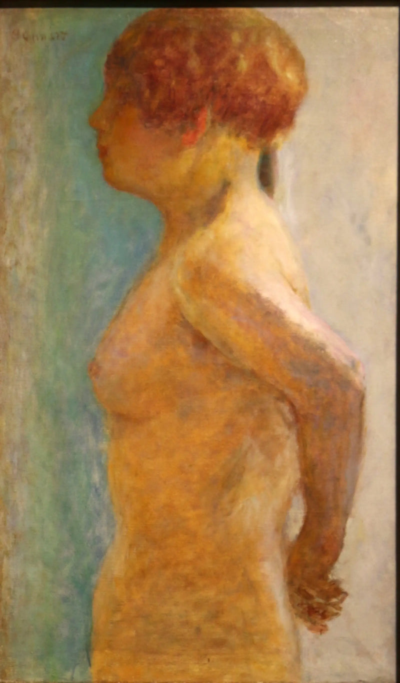 Vrouwelijk torso, in profiel - Pierre Bonnard