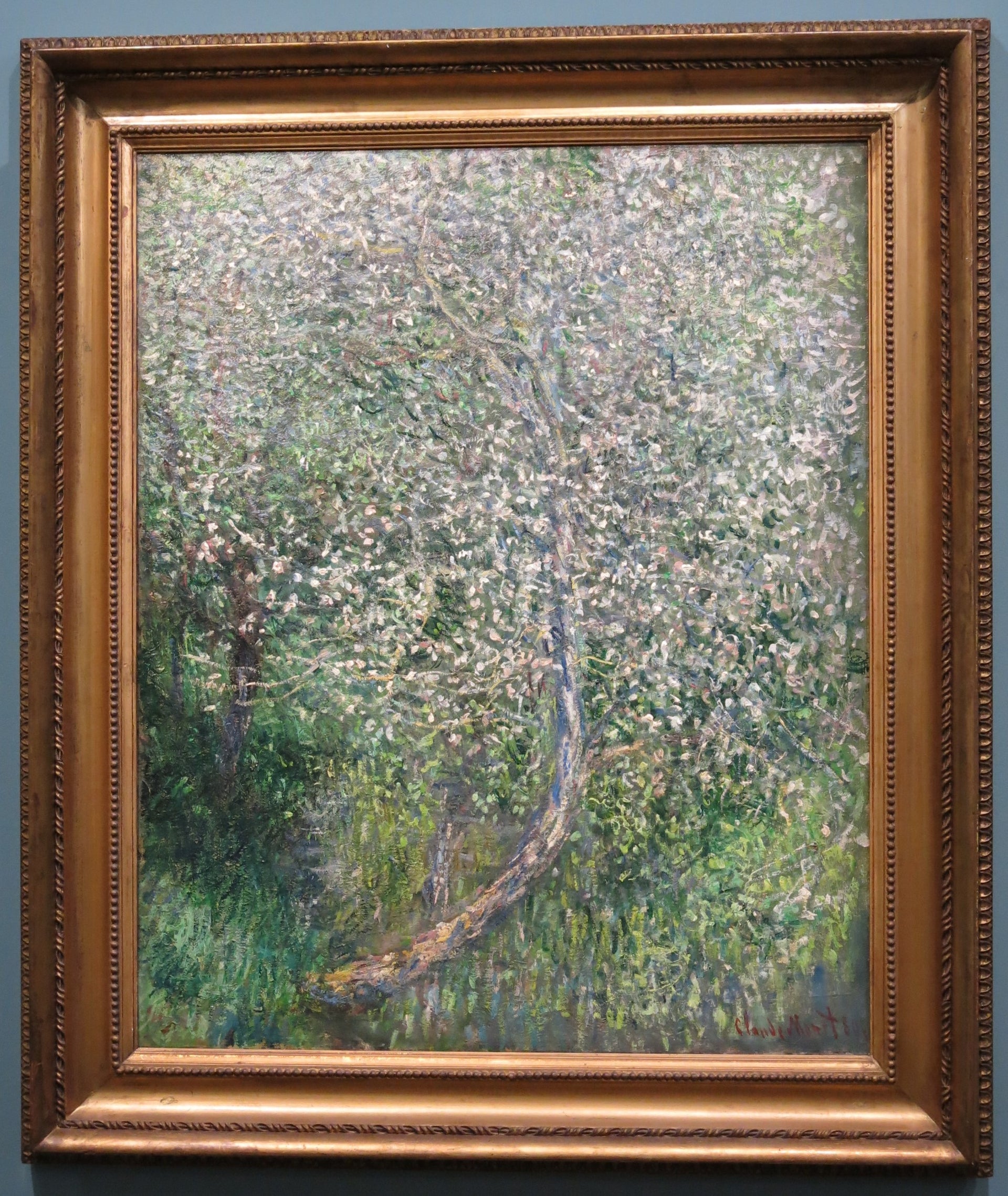 Pommier en fleurs au bord de l'eau, peinture de Claude Monet