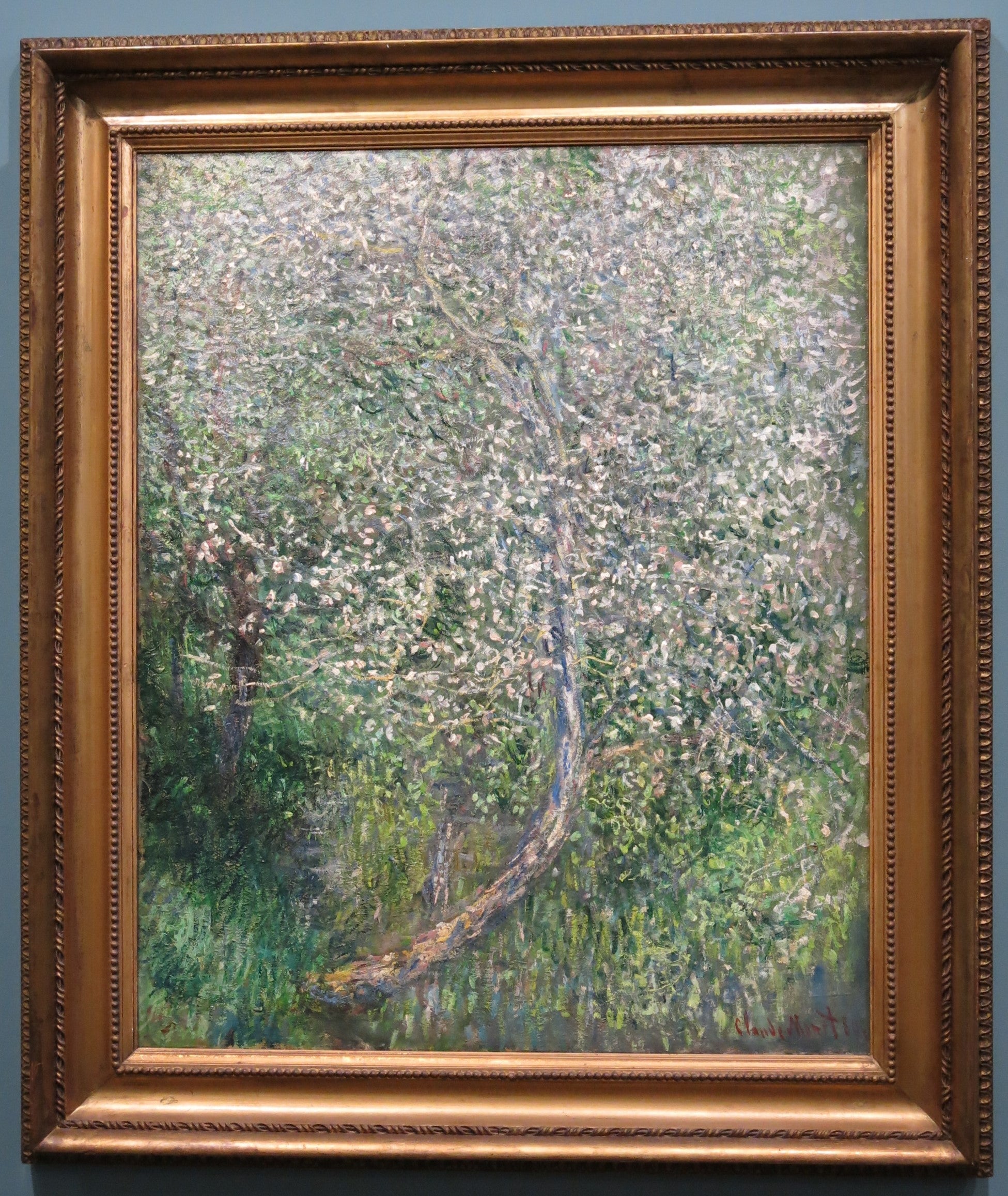 Pommier en fleurs au bord de l'eau, peinture de Claude Monet
