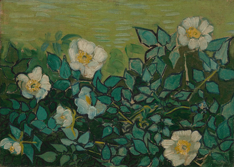 Wilde rozen - Vincent van Gogh
