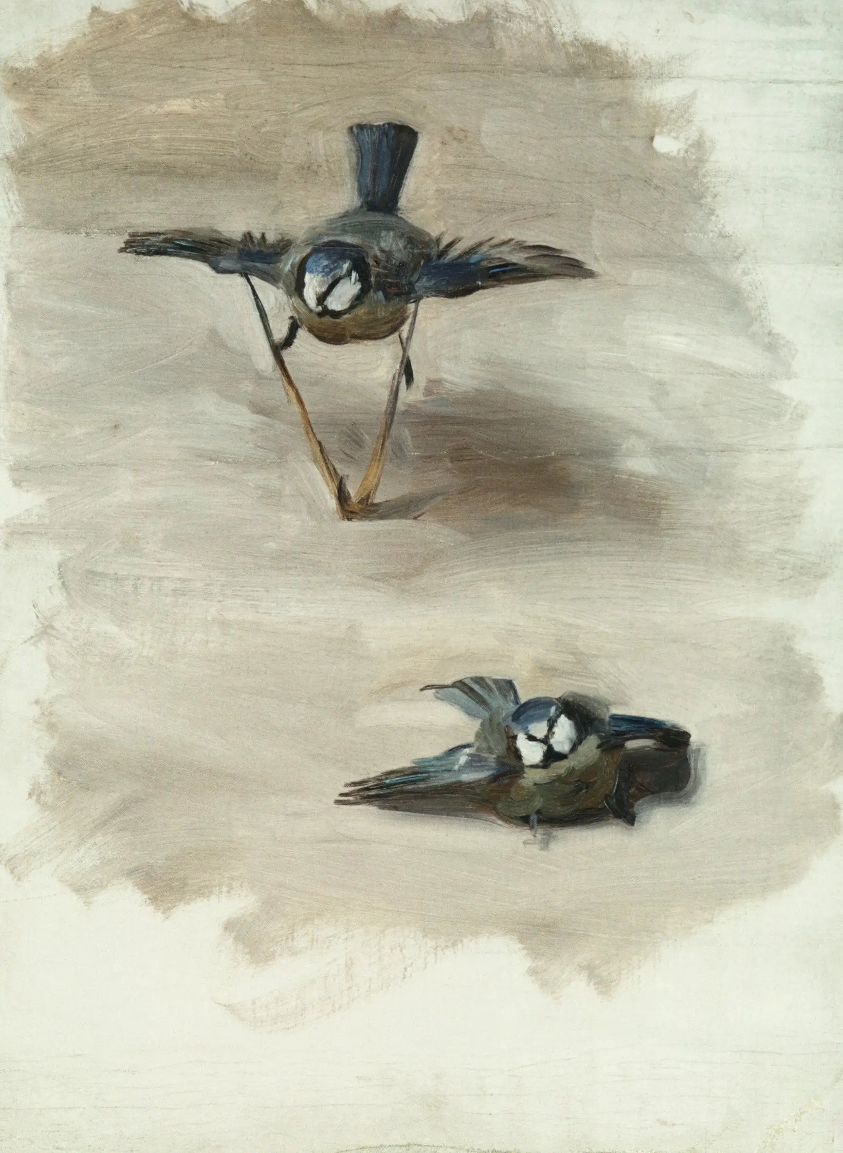 Reproduction du tableau « Études d'un oiseau mort - John Singer Sargent » par Alpha Reproduction en peinture à l’huile