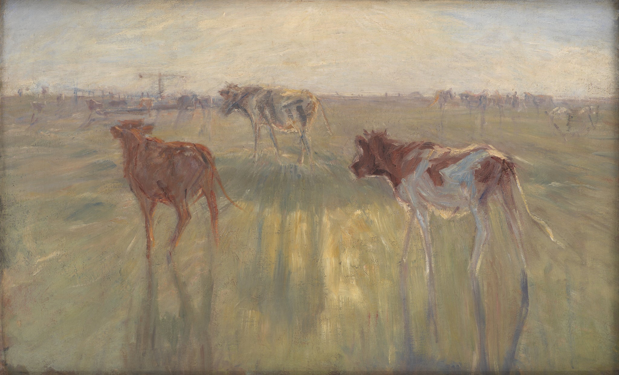 Bétail face au soleil sur l’île de Saltholm, Theodor Philipsen, 1892