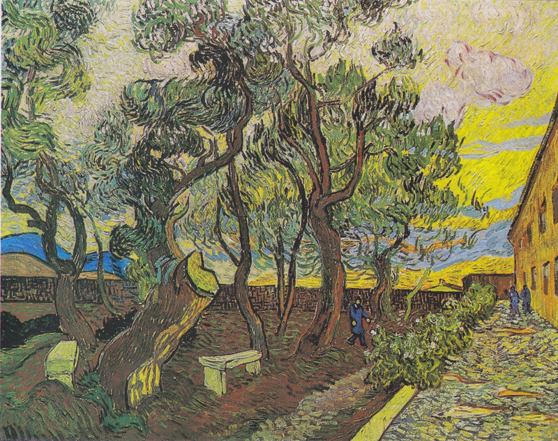 Tuin van het Saint-Paul ziekenhuis in Saint-Rémy - Vincent van Gogh