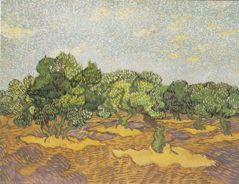Olijfbomen - Vincent van Gogh