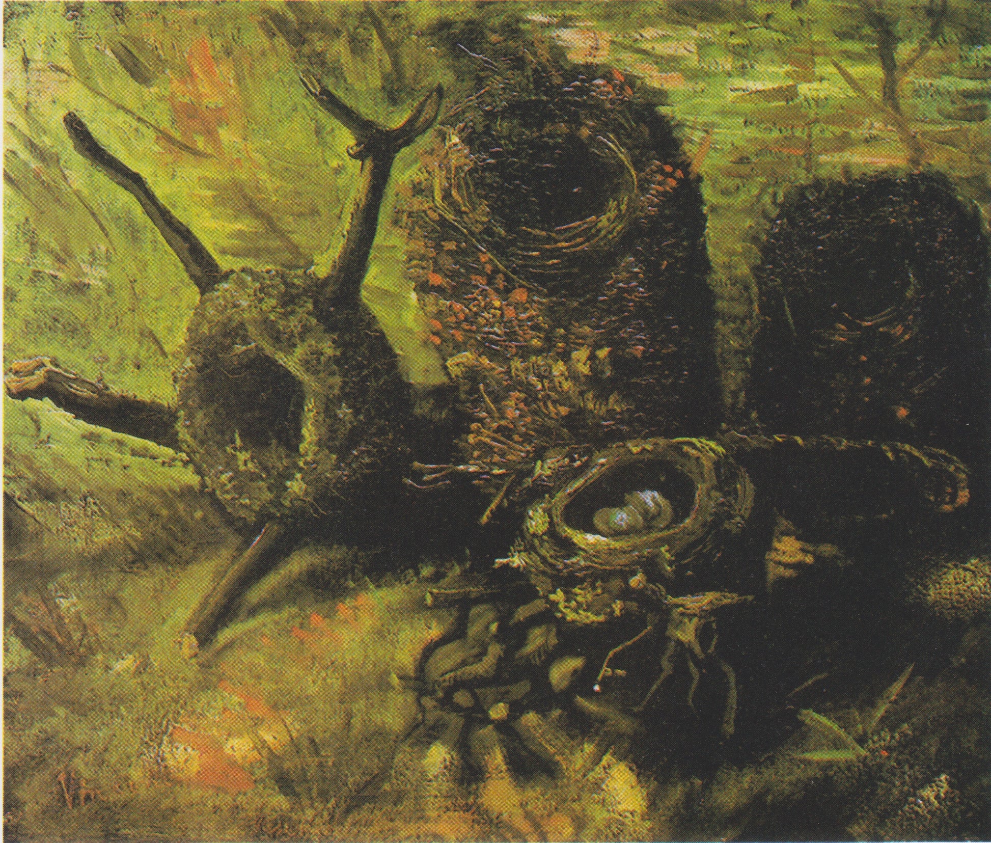 Vogelnesten - Vincent van Gogh