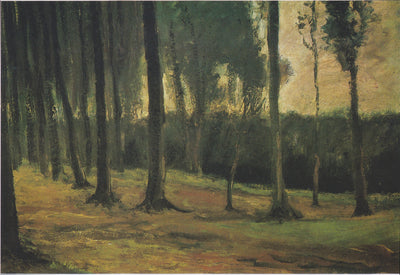 rand van een bos - Vincent van Gogh
