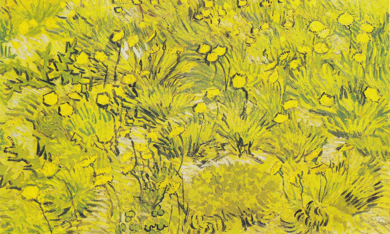 Prerie met gele bloemen - Vincent van Gogh
