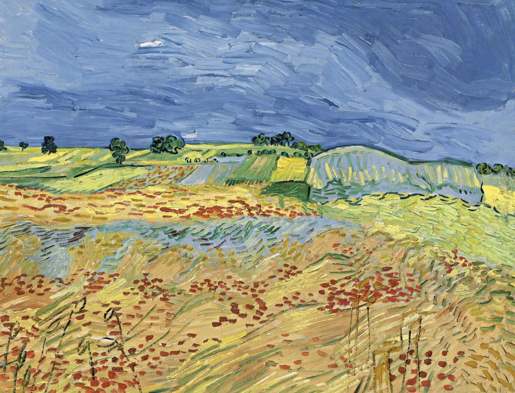 Reproduction du tableau « Les champs - Vincent van Gogh » par Alpha Reproduction en peinture à l’huile