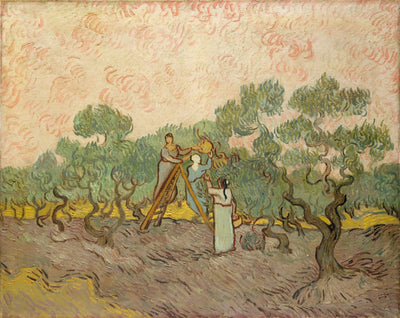 Reproduction du tableau « Femmes cueillant des olives - Vincent van Gogh » par Alpha Reproduction en peinture à l’huile