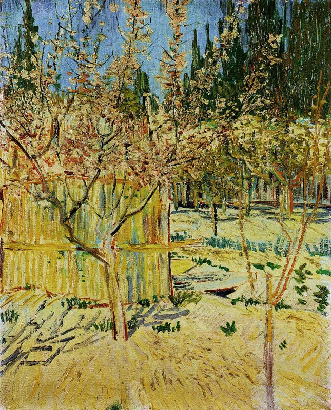 Bloeiende abrikozenbomen - Vincent van Gogh