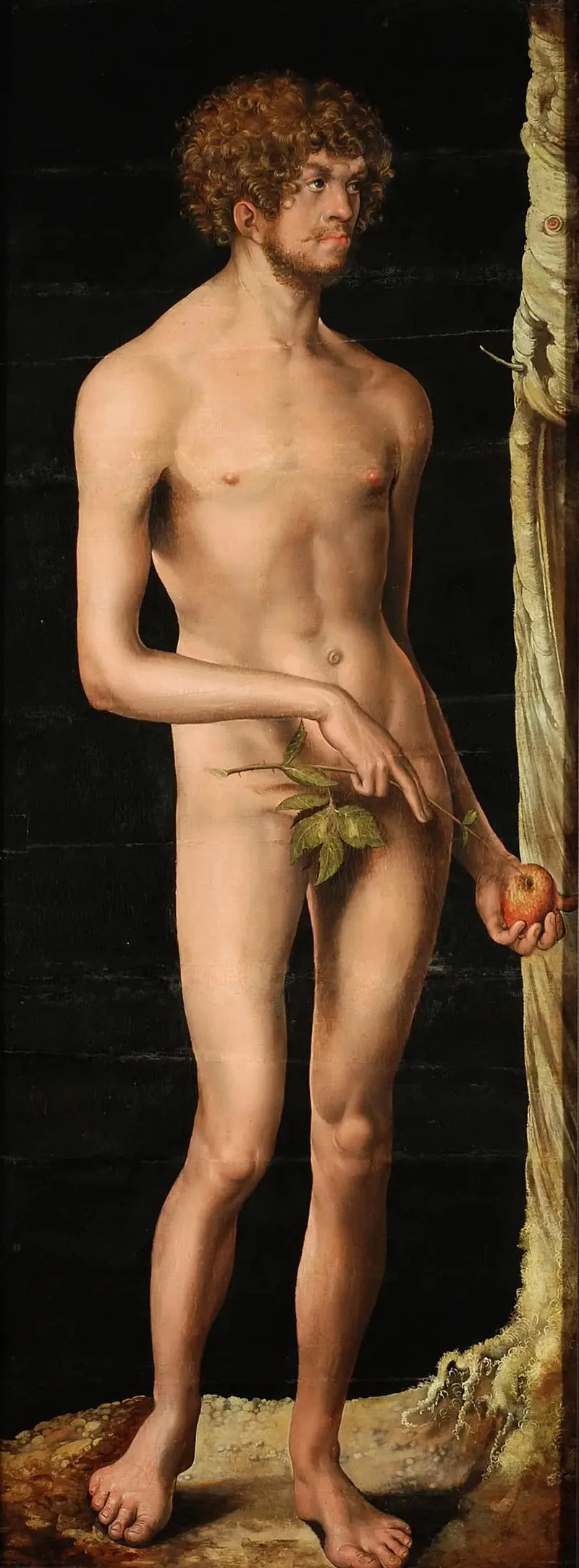 Adam - Lucas Cranach de Oudere