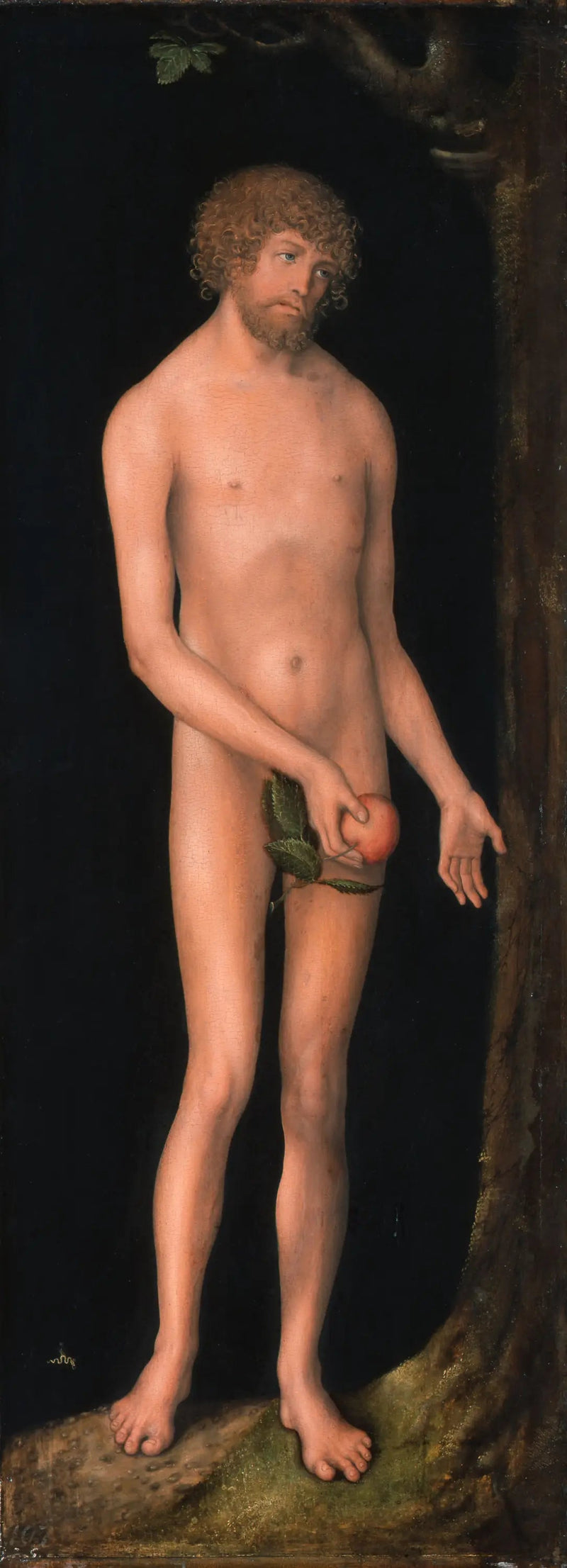 Adam - Lucas Cranach de Oudere