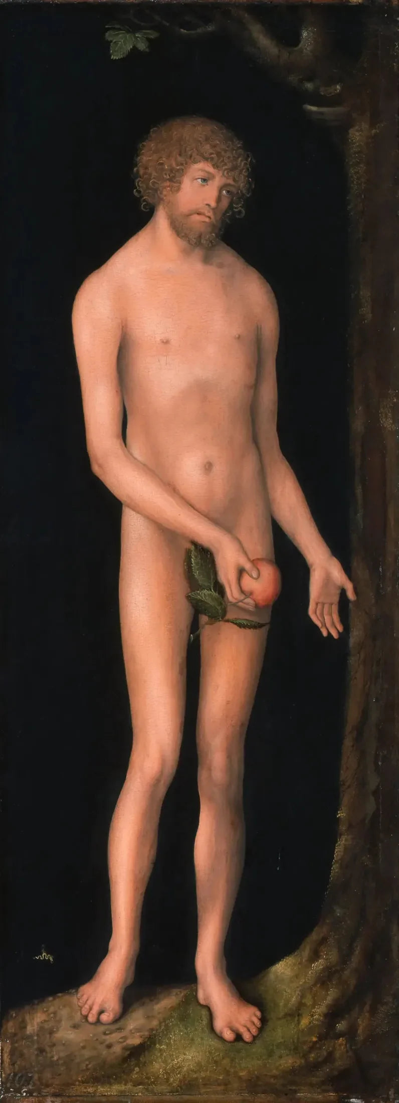 Adam - Lucas Cranach de Oudere
