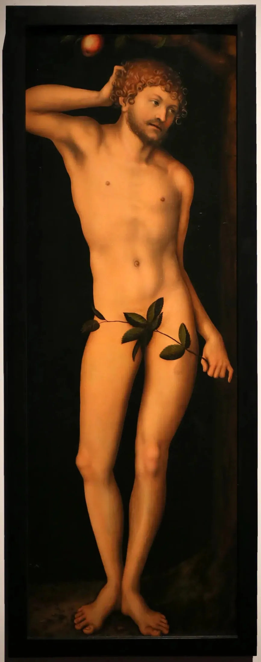 Adam - Lucas Cranach de Oudere