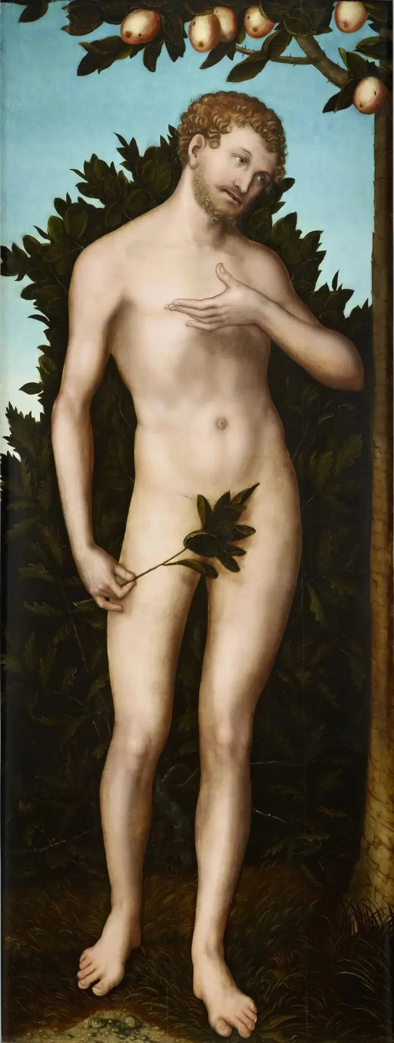 Adam - Lucas Cranach de Oudere