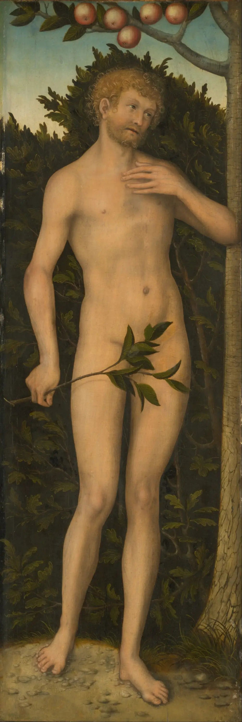 Adam - Lucas Cranach de Oudere