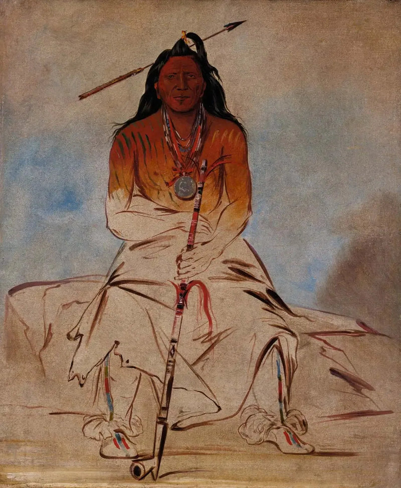 Ah-sháw-wah-róoks-te, geneeskrachtige paard, een grote dappere Pawnee - George Catlin

Source:
Ah-sháw-wah-róoks-te, Cheval de médecine, un Grand Brave Pawnee - George Catlin