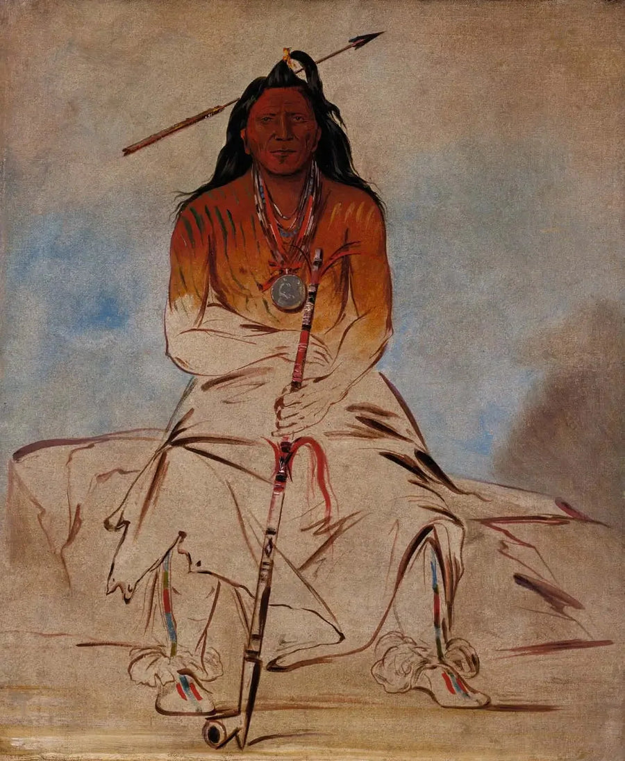 Ah-sháw-wah-róoks-te, geneeskrachtige paard, een grote dappere Pawnee - George Catlin

Source:
Ah-sháw-wah-róoks-te, Cheval de médecine, un Grand Brave Pawnee - George Catlin