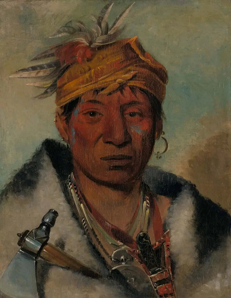 Reproductie van een schilderij, olieverf op doek - Alpha Reproductie

Source:
Ah-yaw-ne-tak-oár-ron, un guerrier - George Catlin