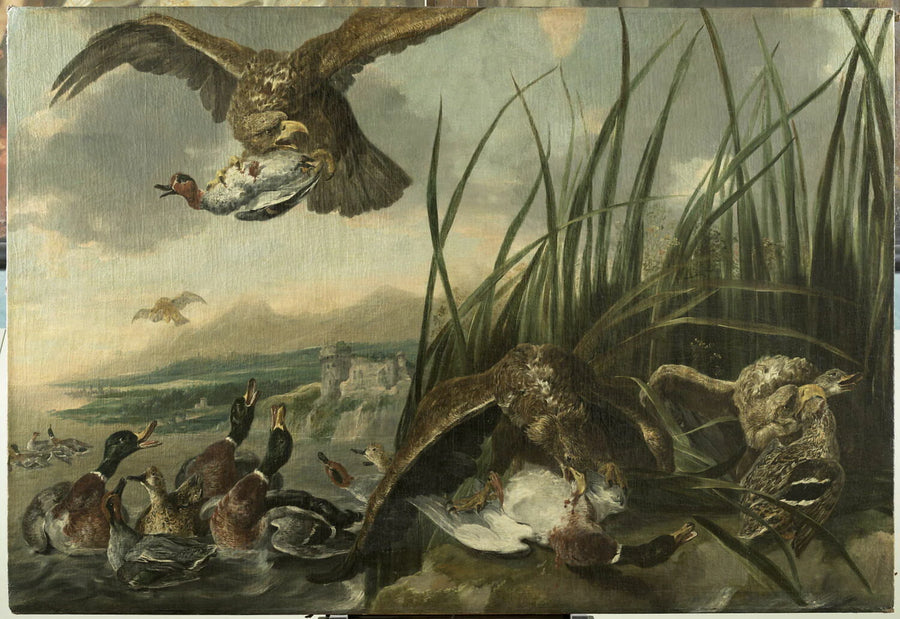 Aigles attaquant des canards - Jan Fyt