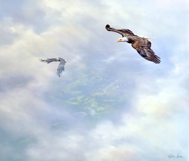 Adelaars in vlucht | 200x170cm