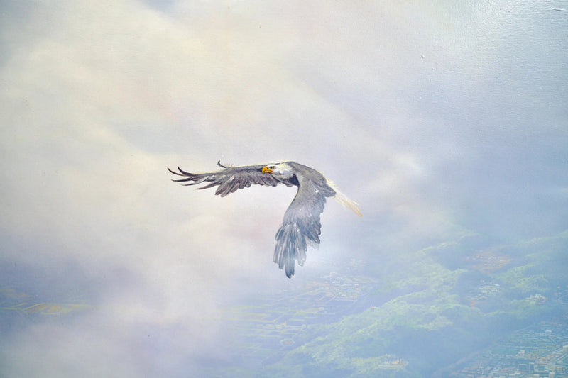Adelaars in vlucht | 200x170cm