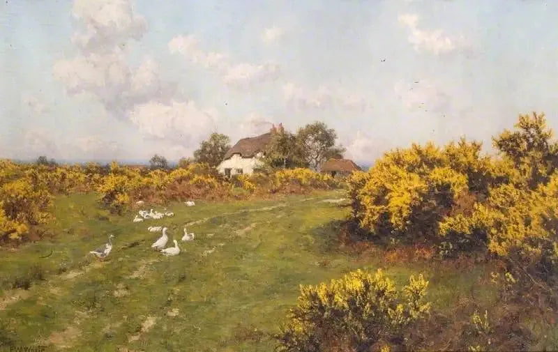 Gele bloemen op een gemeenschappelijk terrein in Berkshire (Bucklebury Common) - Edward Wilkins Waite

Source:
Ajoncs sur un terrain communal du Berkshire (Bucklebury Common) - Edward Wilkins Waite