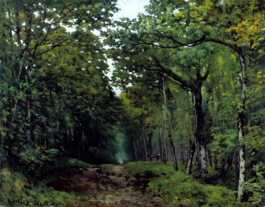 Beukenlaan nabij La Celle Saint-Cloud - Alfred Sisley