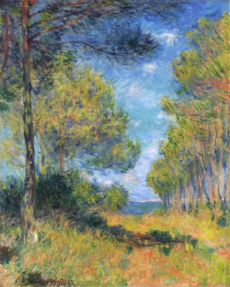 Sparrenlaan in Varengeville - Claude Monet