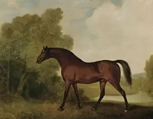Ambrosio, een voskleurige hengst, eigendom van Thomas Haworth - George Stubbs

Source:
Ambrosio, un étalon bai, propriété de Thomas Haworth - George Stubbs